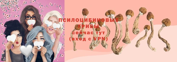 СК Абдулино