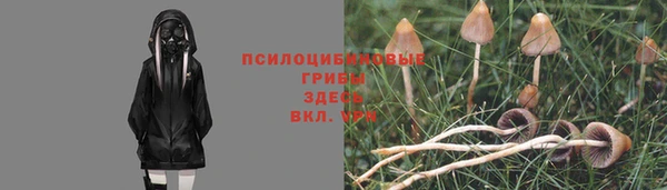 кристаллы Абаза