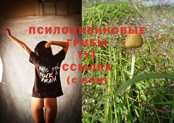 кристаллы Абаза
