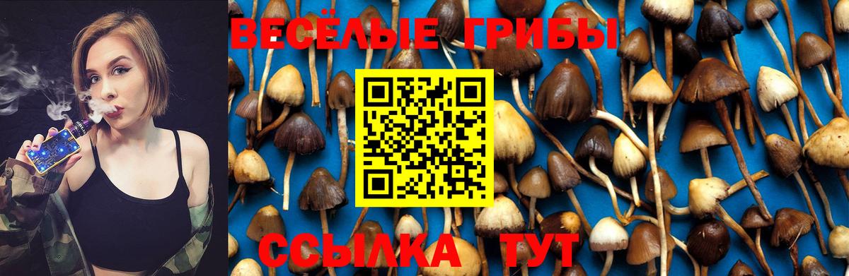 Псилоцибиновые грибы Psilocybine cubensis Зеленогорск